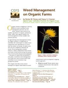 Organic growers struggling to effectively manage weeds are not alone