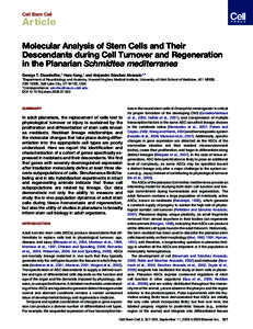 Biotechnology / Stem cells / Cellular differentiation / Cell cycle / Adult stem cell / T cell / Biology / Developmental biology / Cellular processes