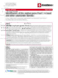 Identification of the orphan gene Prod 1 in basal and other salamander families