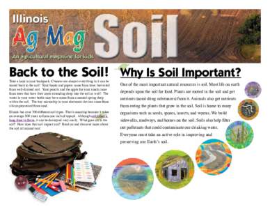 Back to the Soil! Why Is Soil Important? Take a look in your backpack. Chances are almost everything in it can be traced back to the soil! Your books and papers came from trees harvested from well-drained soil. Your penc