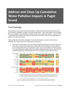 Address and Clean Up Cumulative Water Pollution Impacts in Puget Sound The Challenge Water pollution in the marine waters and freshwater of Puget Sound comes from the introduction of toxic chemicals, pathogens, nutrients