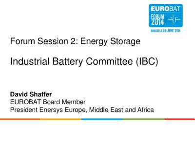 Forum Session 2: Energy Storage  Industrial Battery Committee (IBC) David Shaffer BCI Convention