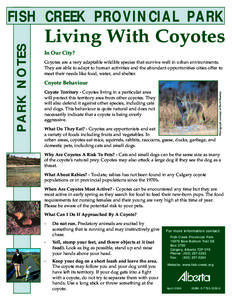 Living With Coyotes In Our City? Coyotes are a very adaptable wildlife species that survive well in urban environments. They are able to adapt to human activities and the abundant opportunities cities ěȱto meet t