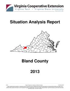 Situation Analysis Report  Bland County