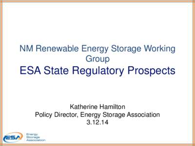 NM Renewable Energy Storage Working Group ESA State Regulatory Prospects  Katherine Hamilton