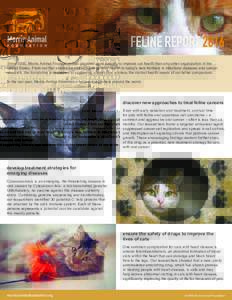 Veterinary medicine / Animal virology / Medicine / Cat health / Cat / Feline viral rhinotracheitis / Cytauxzoonosis / Feral cat / Cancer / Cancer in cats / Feline immunodeficiency virus
