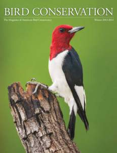 BIRD CONSERVATION  The Magazine of American Bird Conservancy Winter[removed]