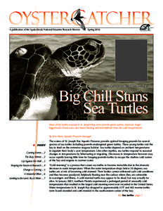 A publication of the Apalachicola National Estuarine Research Reserve  Spring 2010 Frigid water threatened local marine life