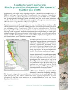 A guide for plant gatherers: Simple precautions to prevent the spread of Sudden Oak Death A relatively new plant disease known as Sudden Oak Death is threatening the coastal 	f o r e s t s o f California and Oregon. Curr