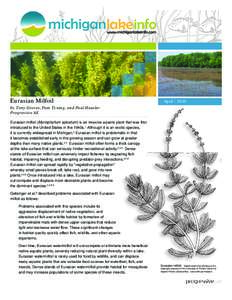 Eurasian Milfoil  Aprilby Tony Groves, Pam Tyning, and Paul Hausler Progressive AE