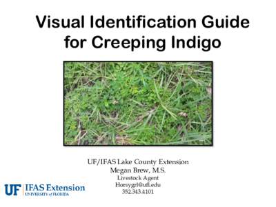 Visual Identification Guide for Creeping Indigo UF/IFAS Lake County Extension Megan Brew, M.S. Livestock Agent
