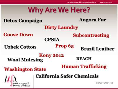 Why Are We Here? Angora Fur Detox Campaign Dirty Laundry Goose Down