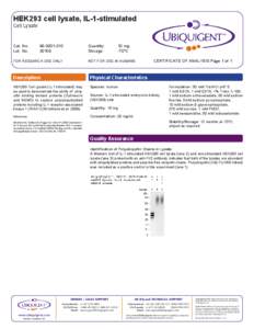 HEK293 cell lysate, IL-1-stimulated Cell Lysate Cat. No.	 Lot. No.