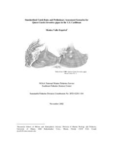 Standardized Catch Rates and Preliminary Assessment Scenarios for Queen Conch (Strombus gigas) in the U.S. Caribbean Monica Valle-Esquivel1 Taken from CMRC Queen Conch Strombus gigas Poster series No. 1.