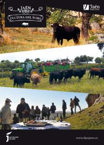 Presentación La provincia de Jaén es uno de los territorios de España con más presencia de actividades en torno del toro de lidia, un lugar privilegiado para acercarse al mundo taurino, puesto que es uno de los encl