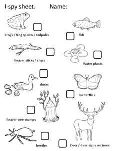 I-spy sheet.  Name: Frogs / frog spawn / tadpoles