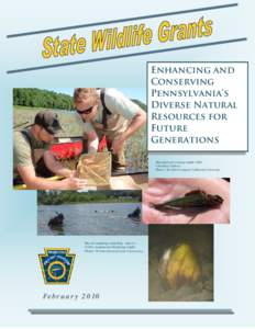 The project purpose is to gather information about the distribution and rarity of the yellow lampmussel () and other mussel fauna of the Susquehanna River Basin in Pennsylvania
