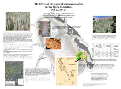 The Effects of Silvicultural Manipulations On Spruce Beetle Populations INT-EMTom Eager and Roy Mask. USDA Forest Service Rocky Mountain Region, Forest Health Management Gunnison Service Center, Gunnison, Colorado