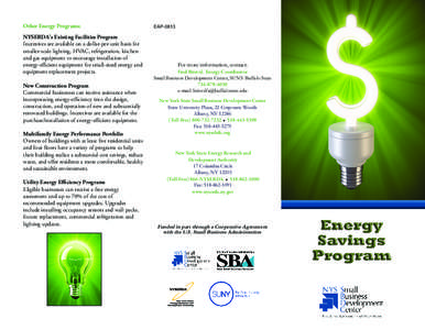 NYS SBDC - Energy Savings Program