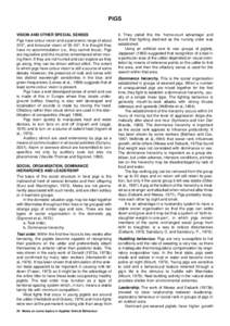 PIGS VISION AND OTHER SPECIAL SENSES Pigs have colour vision and a panoramic range of about 310°, and binocular vision of 35–50°. It is thought they have no accommodation (i.e., they cannot focus). Pigs are inquisiti