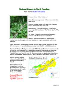 Galax urceolata  Fact Sheet