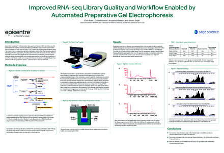 Chemistry / Polymerase chain reaction / RNA-Seq / Nucleic acid methods / Gel electrophoresis / Primer / Biology / Molecular biology / Biochemistry