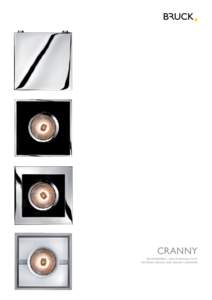 Cranny DeCkeneinbau- unD aufbauleuChte reCesseD Ceiling anD Ceiling luminaire cranny / spot duo c