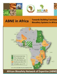 ABNE in Africa  Towards Building Functiona Biosafety Systems in Africa  African Biosafety Network of Expertise (ABNE)