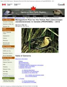 Species at Risk Public Registry - Management Plan for the Yellow Rail (Coturnicops noveboracensis) in Canada [PROPOSED] – 2012