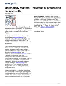 Morphology matters: The effect of processing on solar cells