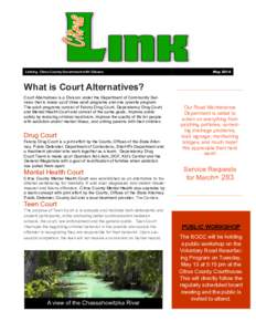 Linking Citrus County Government with Citizens  May 2014 What is Court Alternatives? Court Alternatives is a Division under the Department of Community Services that is made up of three adult programs and one juvenile pr