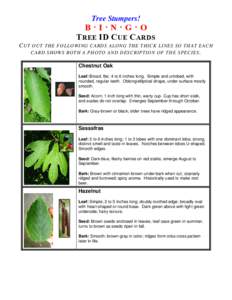 Tree Stumpers!  B·I·N·G·O T REE ID C UE C ARDS C UT OUT THE FOLLOWING CARDS ALONG THE THICK LINES SO THAT EACH CARD SHOWS BOTH A PHOTO AND DESCRIPTION OF THE SPECIES .