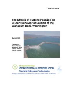 Salmon / Wanapum Dam / Columbia River / Wanapum / Chinook salmon / Startle response / Kaplan turbine / Turbine / Priest Rapids / Stimulus