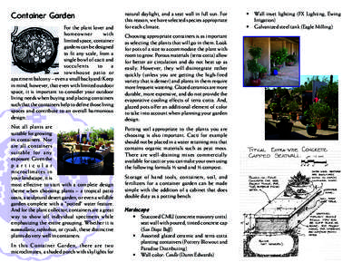 Container garden / Ageratum / Ruellia / Environmental design / Botany / Landscape architecture / Penstemon / Plantaginaceae