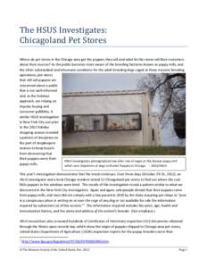 The HSUS Investigates: Chicagoland Pet Stores Where do pet stores in the Chicago area get the puppies they sell and what do the stores tell their customers about their sources? As the public becomes more aware of the bre