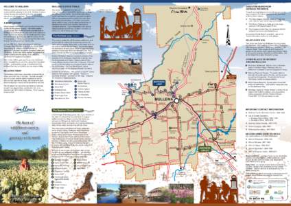 #1078 Mullewa Brochure P1 update 2012.ai