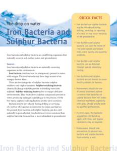 QUICK FACTS  The drop on water Iron Bacteria and Sulphur Bacteria