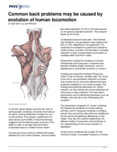 Common back problems may be caused by evolution of human locomotion