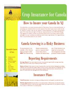 Crop Insurance for Canola How to Insure your Canola In NJ Currently there is no canola insurance policy for New Jersey. If you are interested however, in protecting your investment there are some options. If you have 3 y