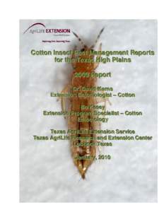 Aldicarb / Nematicides / Oximes / Thioethers / Agricultural pest insects / Cotton / Insecticide / South Plains / Dimmitt /  Texas / Imidacloprid / Thrips / Muleshoe /  Texas