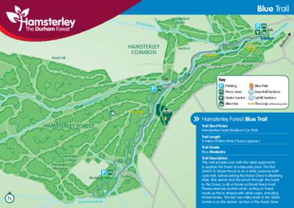 Hamsterley Forest / Mountain biking / Bedburn / Trail / Mountain bike / CTC off-road trail grades / Cannop Cycle Centre / Cycling / Transport / Land transport