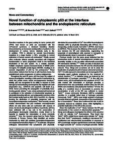 Novel function of cytoplasmic p53 at the interface between mitochondria and the endoplasmic reticulum