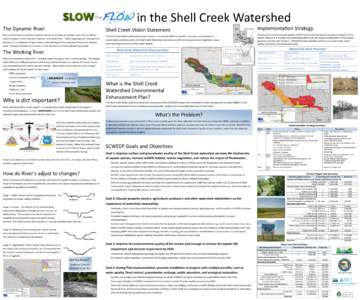 in the Shell Creek Watershed The Dynamic River Shell Creek Vision Statement  Rivers and streams are dynamic systems which are sensitive to change. Every river, or fluvial,