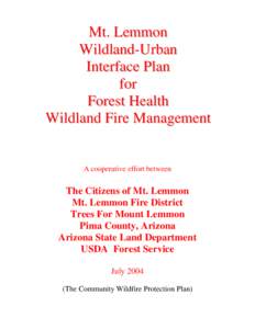 Firefighting / Wildland fire suppression / Forestry / Wildfires / Natural hazards / Mount Lemmon / Summerhaven /  Arizona / United States Forest Service / Aspen Fire / Santa Catalina Mountains / Occupational safety and health / Geography of Arizona