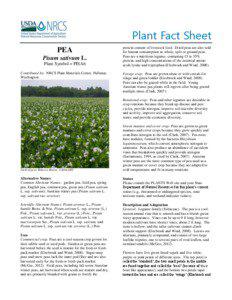 Plant Fact Sheet PEA Pisum sativum L.