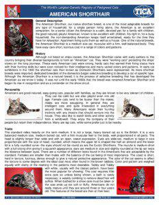 The World’s Largest Genetic Registry of Pedigreed Cats  AMERICAN SHORTHAIR