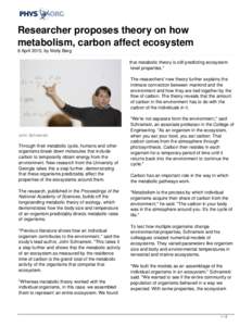 Researcher proposes theory on how metabolism, carbon affect ecosystem