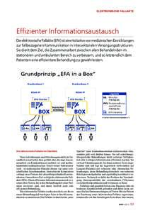 ELEKTRONISCHE FALLAKTE  Effizienter Informationsaustausch Die elektronische Fallakte (EFA) ist eine Initiative von medizinischen Einrichtungen zur fallbezogenen Kommunikation in intersektoralen Versorgungsstrukturen. Sie