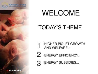 Wild boar / Energy subsidies / Piglet / Energy industry / Agriculture / Technology / Energy economics / Zoology / Pig farming