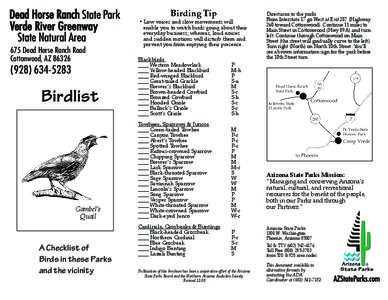 Birding Tip  675 Dead Horse Ranch Road Cottonwood, AZ[removed]-5283
